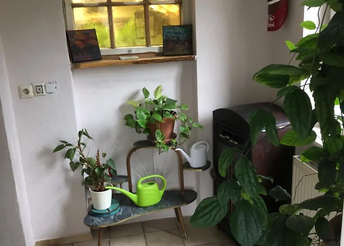 度假居 Zentral 埃尔巴赫